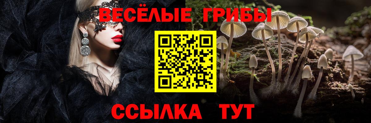 Тайшет  Галлюциногенные грибы прущие грибы  Вход с VPN  Галлюциногенные грибы Magic Shrooms 